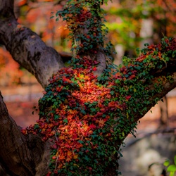 dailyPhoto4